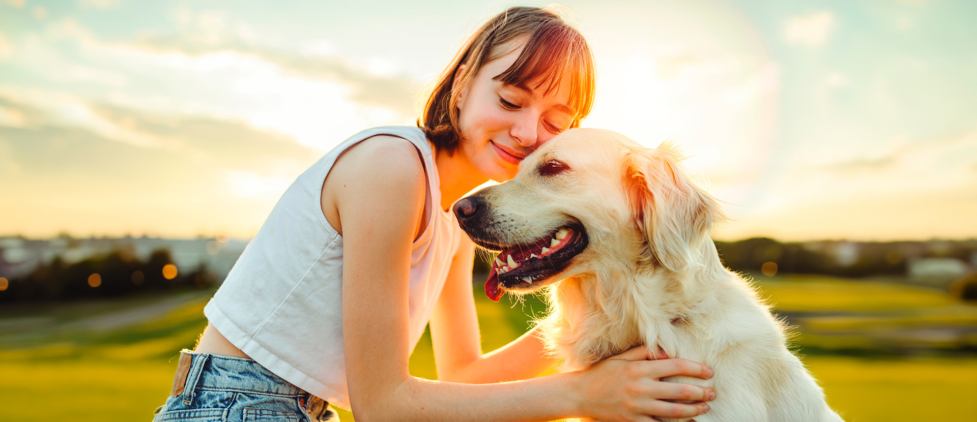 amor y amistad con mi perro