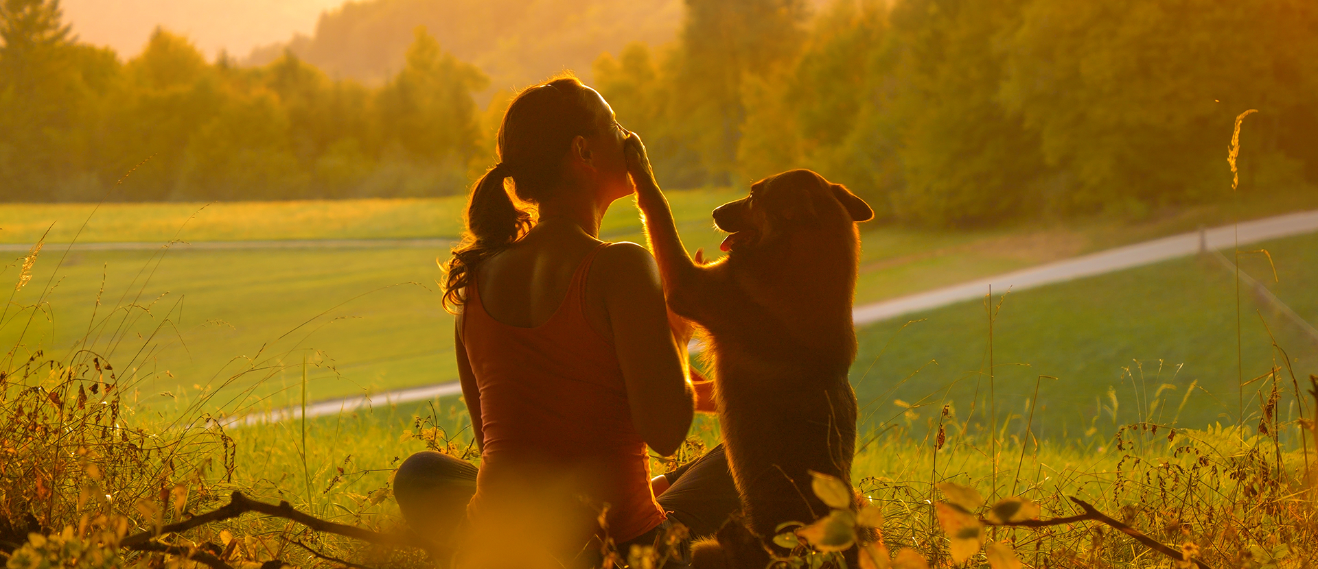 beneficios de tener un perro