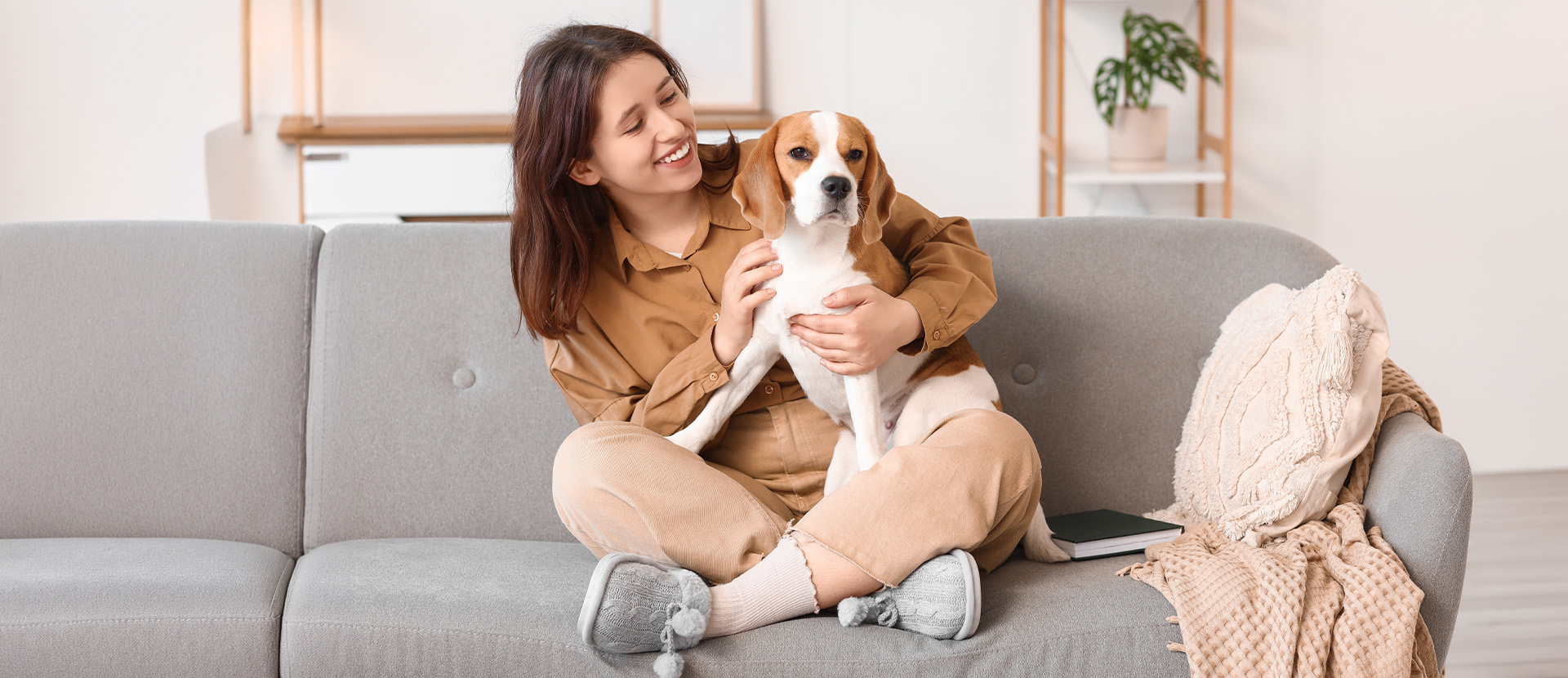 espacio de calma para perros