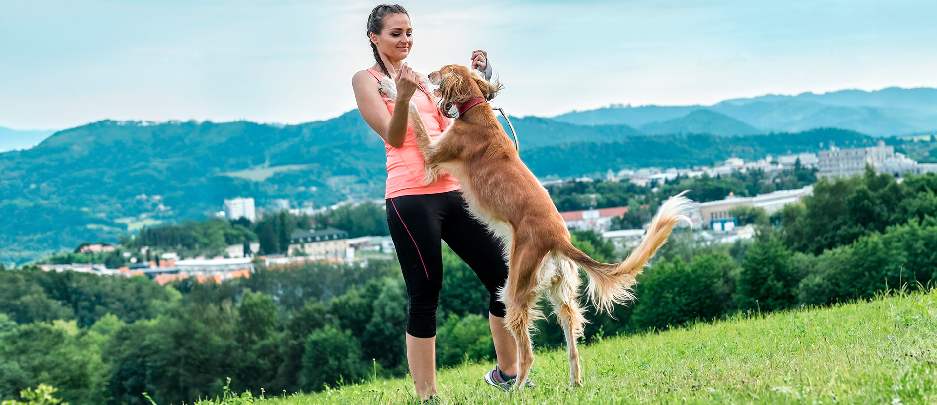 mantenimiento muscular en perros