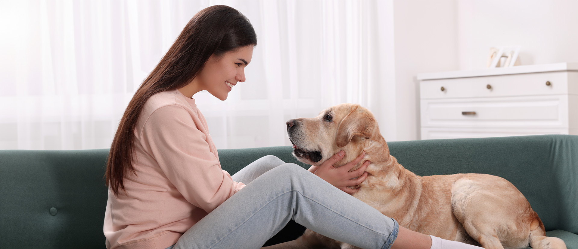 ¿Cómo afecta el estrés a los perros?