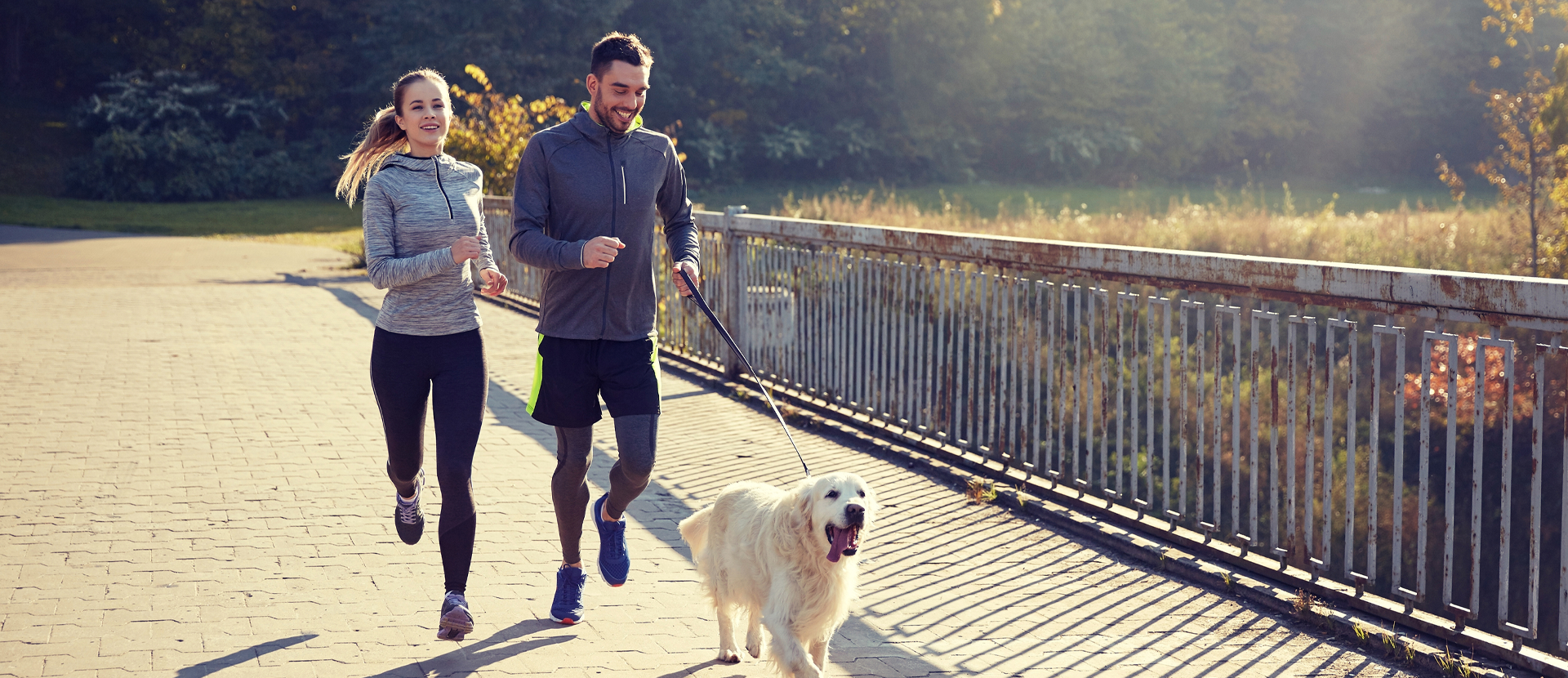canicross, arnés para correr con perros