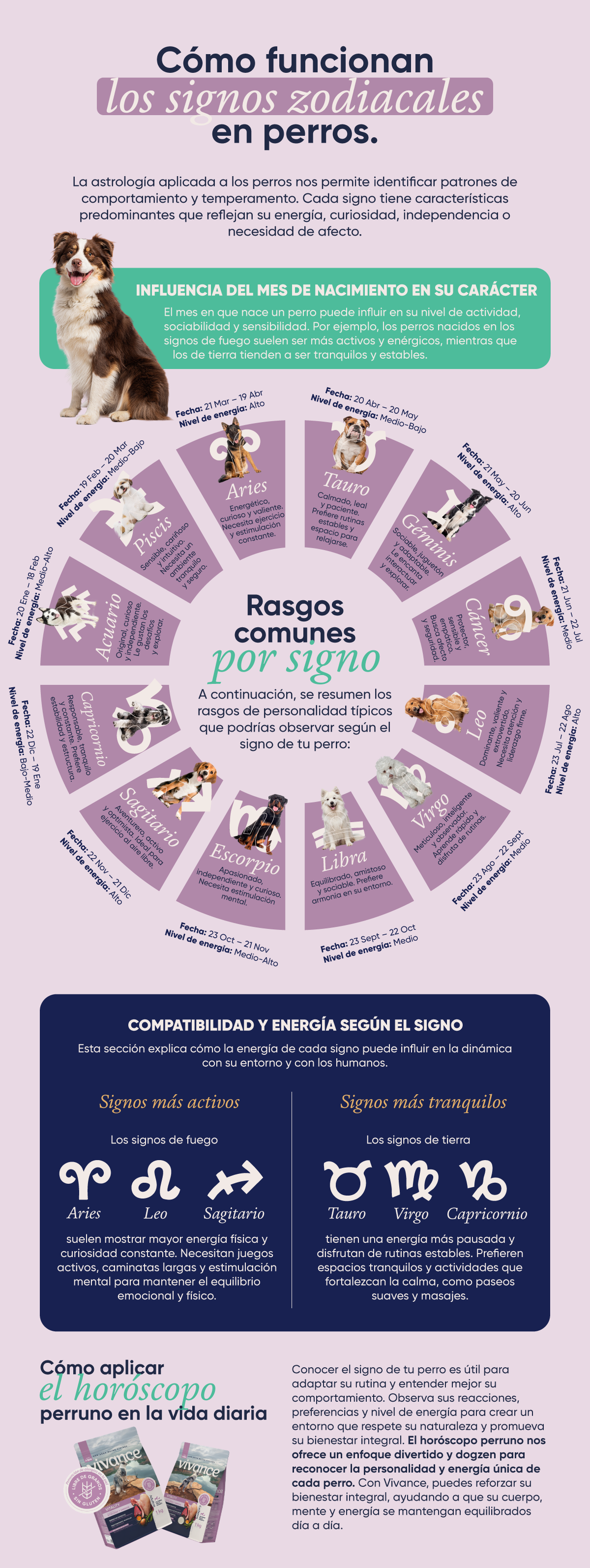 El horoscopo en perros conoce su personalidad y energia