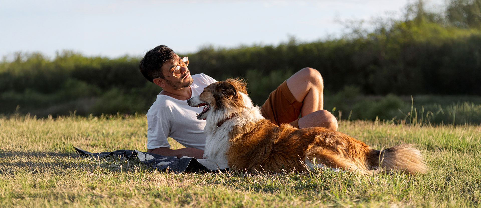 cómo relajarse con mi perro