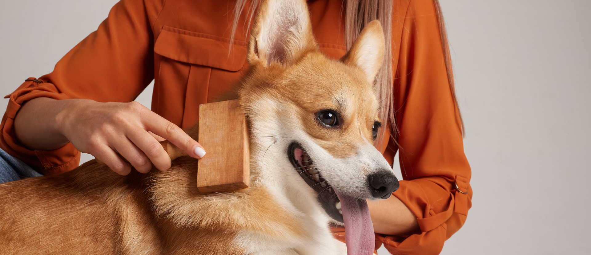 cómo cepillar a mi perro según su tipo de pelaje