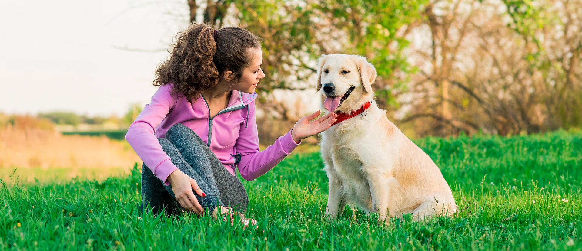 conexión con tu perro
