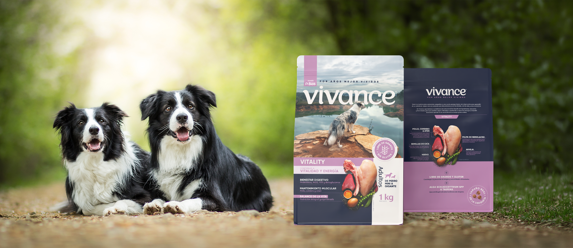 fuentes de proteína Vivance Vitality