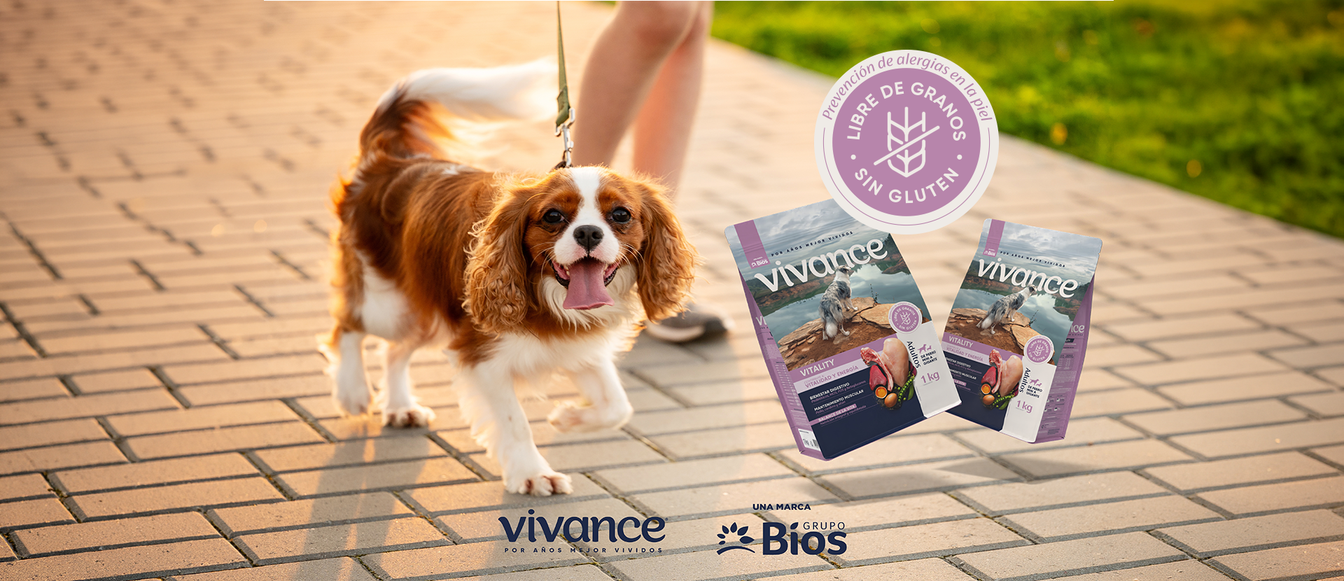 qué es Vivance, Vivance perros