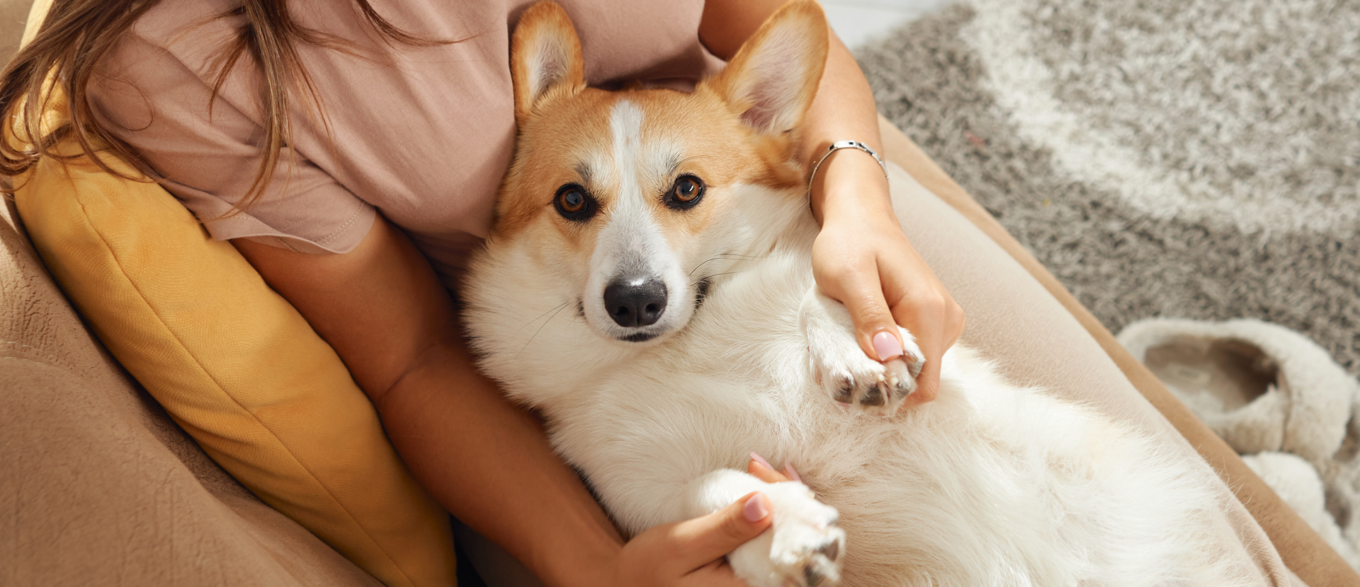 ¿Los perros tienen rituales?