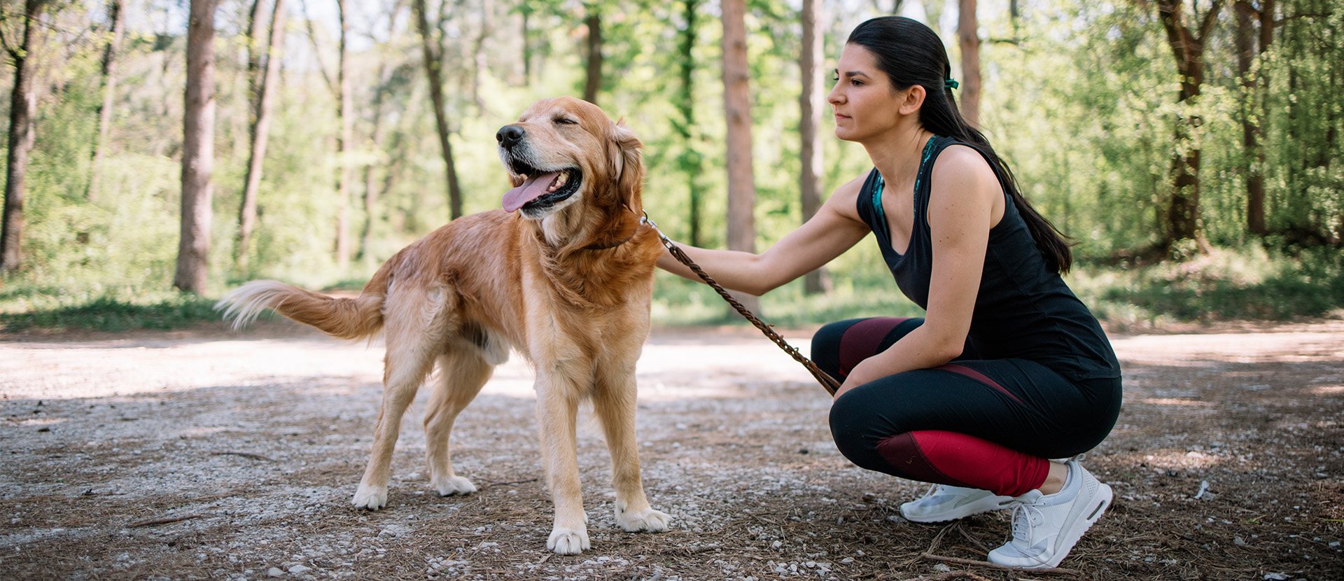 vitaminas para perros A C D3 E K B12