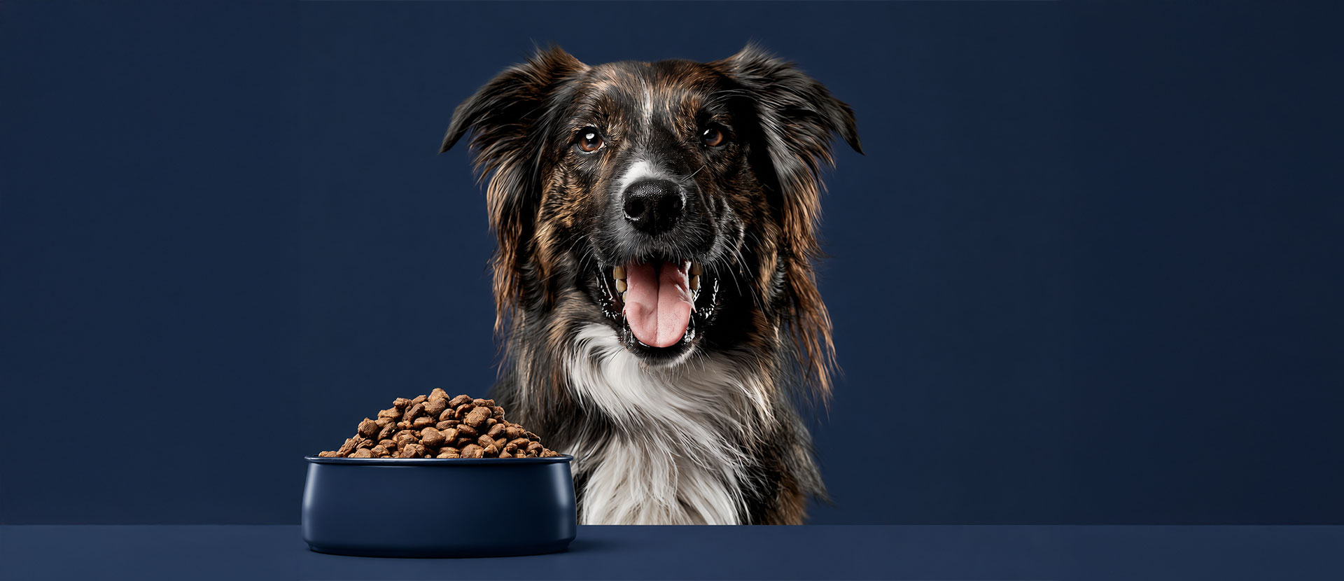 alimento premium para perros