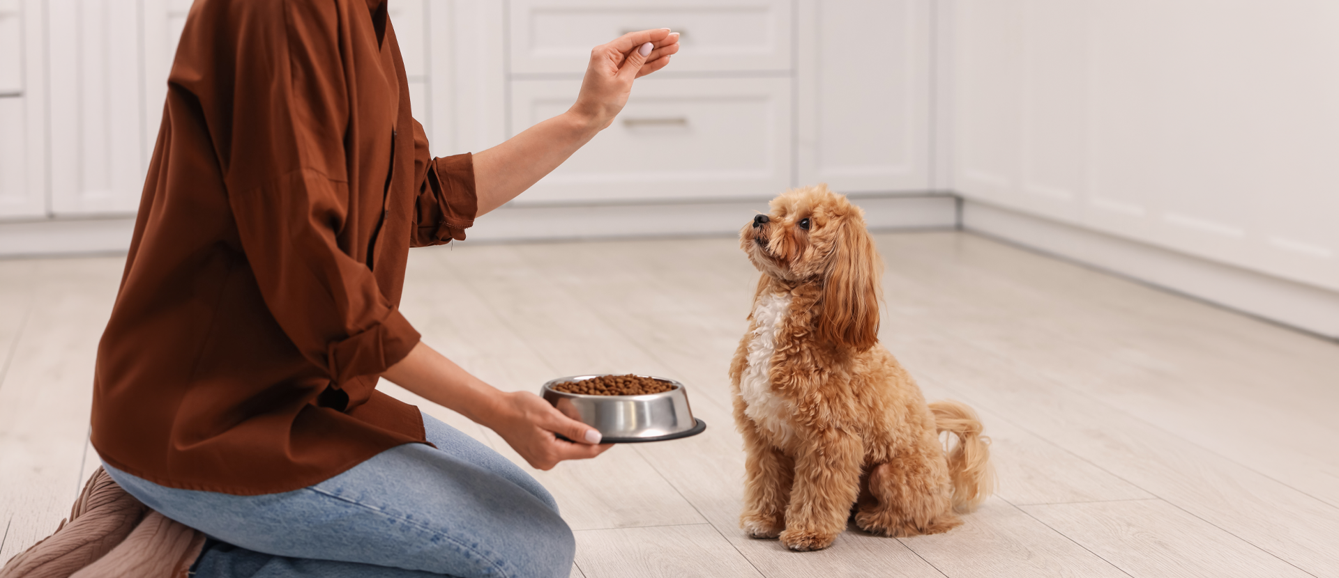 alimento para perros con digestión sensible