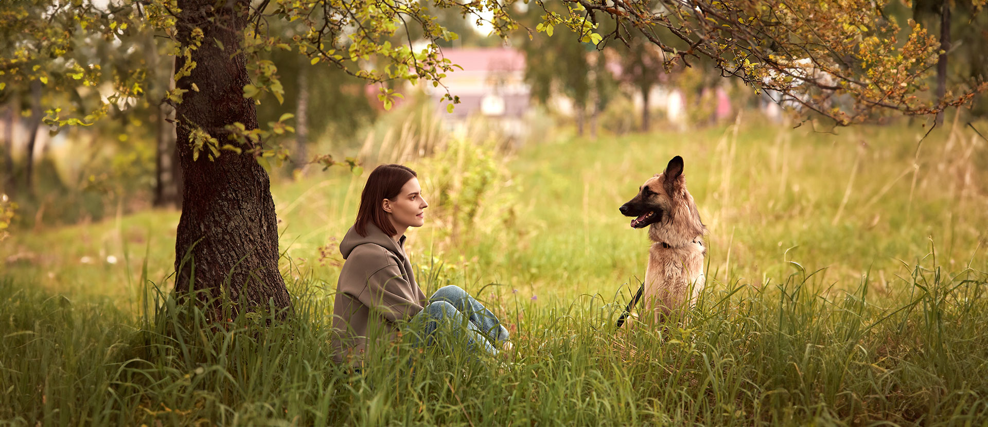 como manejar la ansiedad por separacion en perros