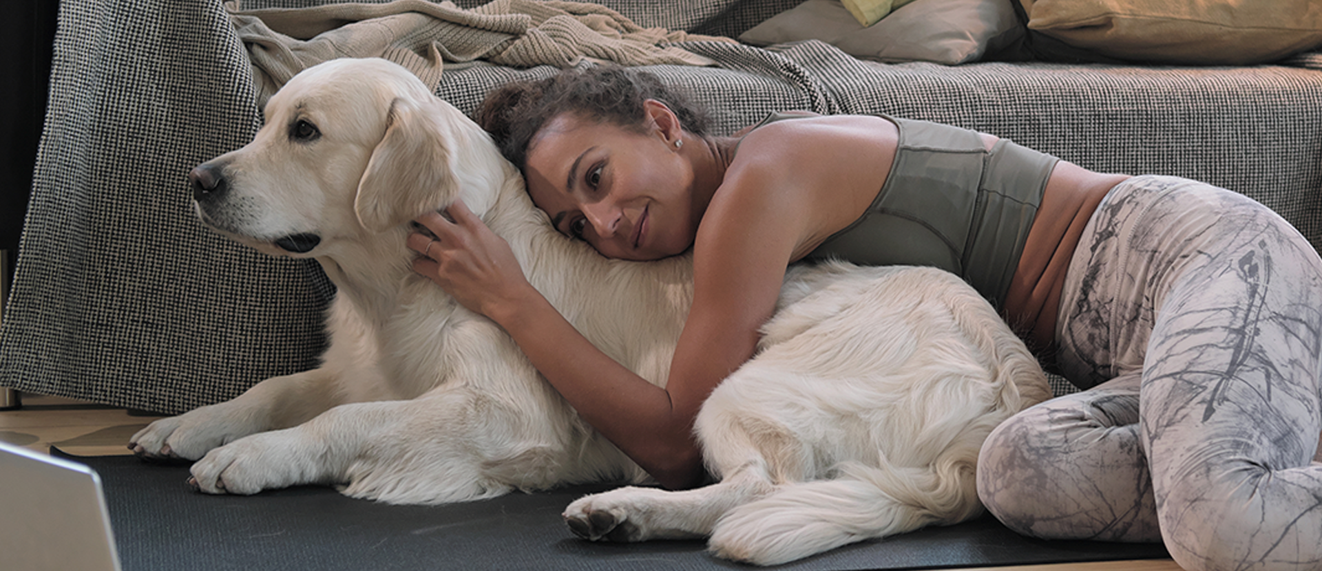 la energia de los perros