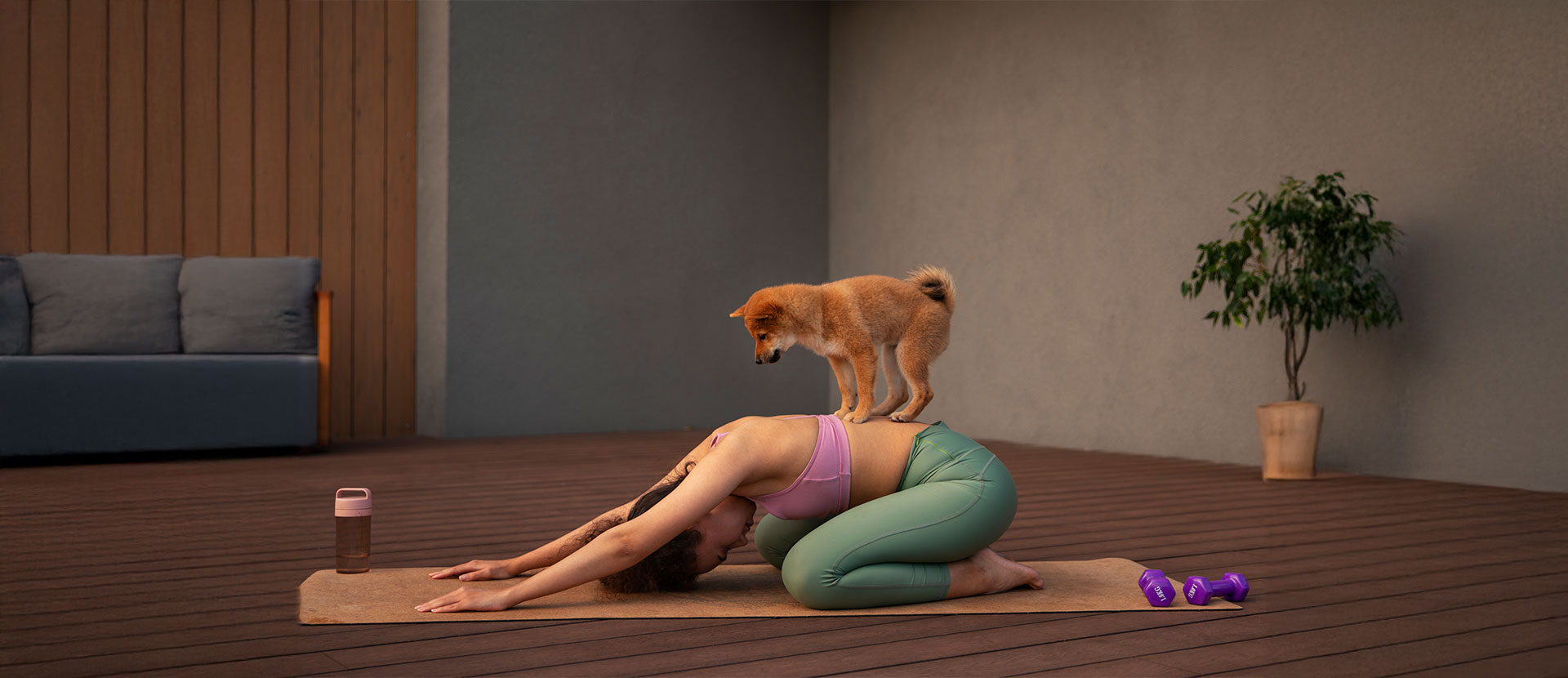 beneficios del yoga en los perros