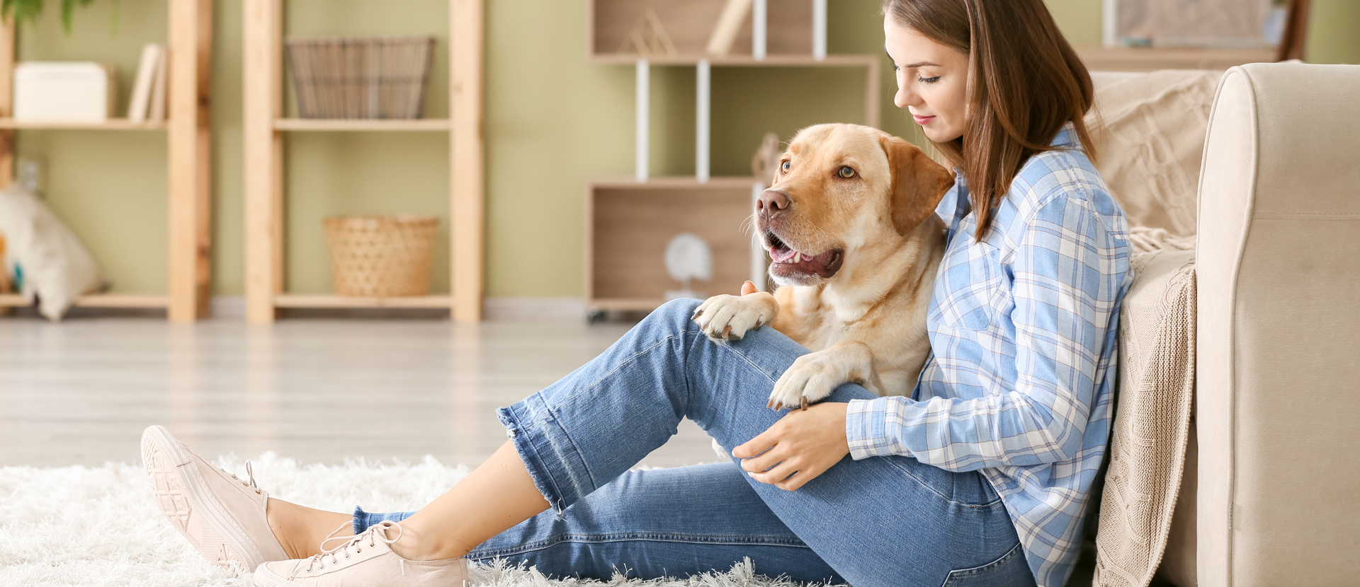 Cómo enseñar a mi perro a relajarse