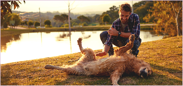 Cachorro jugando con una cuerda