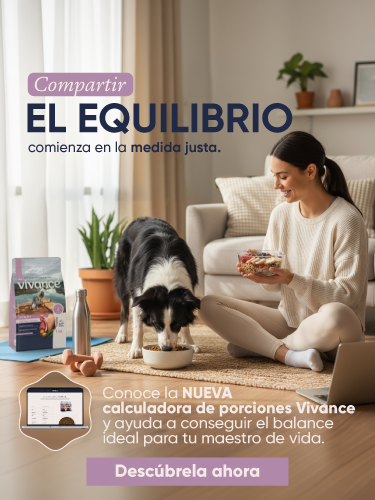 Calcula la cantidad de alimento necesaria para tu mascota