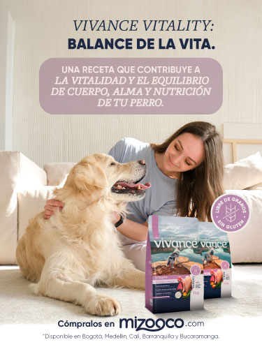 vivance mizooco