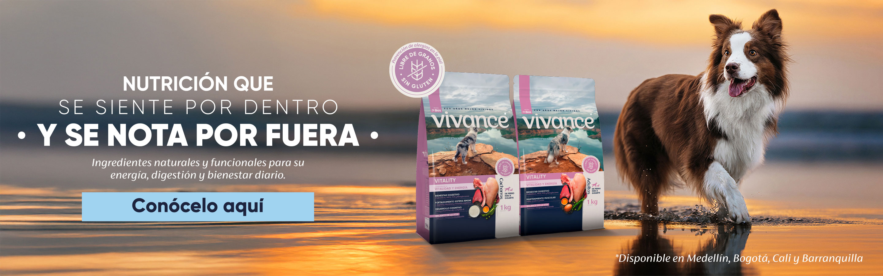 vivance mizooco