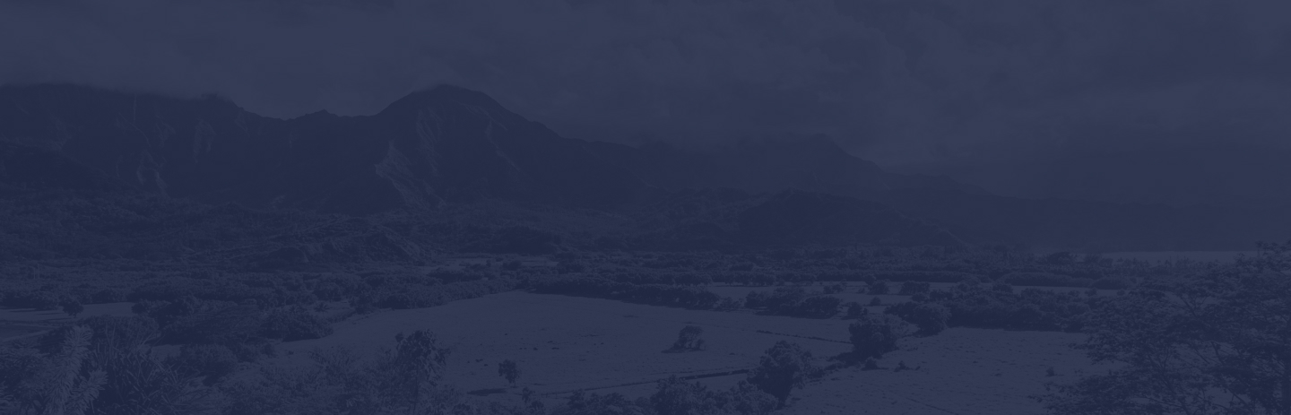Banner ¿Por qué Vivance?